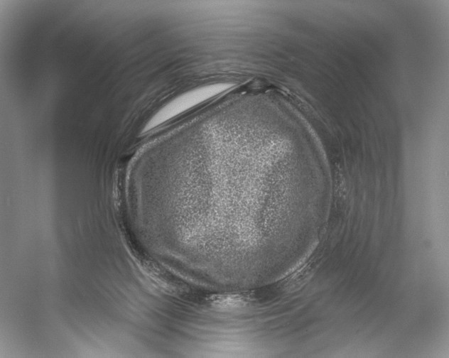 X0000053120074200508081303