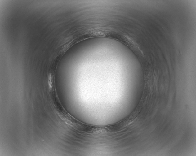 X0000053120075200508081303