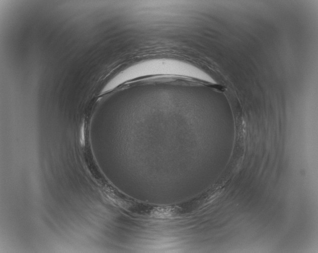 X0000053120076200508081303