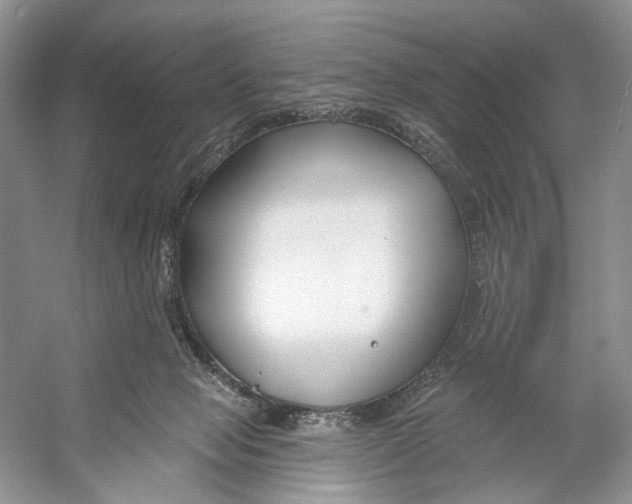 X0000053120077200508081303