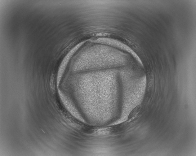 X0000053120078200508081303