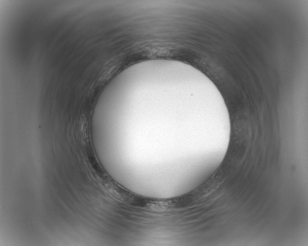 X0000053120079200508081303