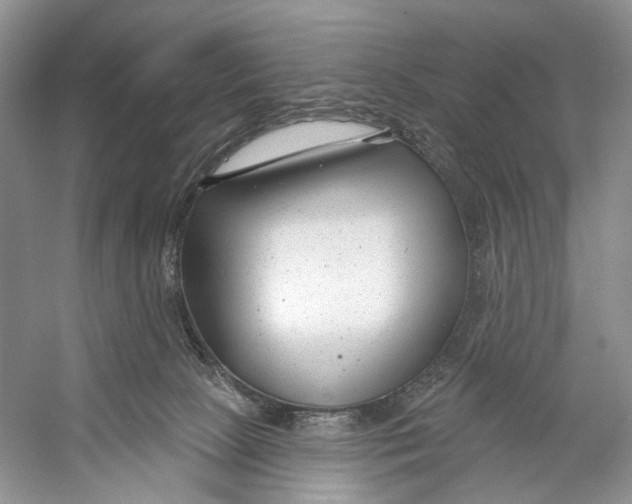 X0000053120081200508081303