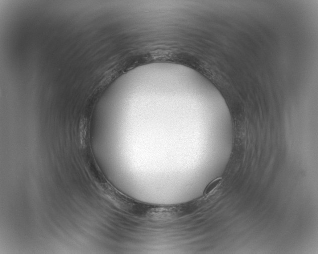 X0000053120082200508081303