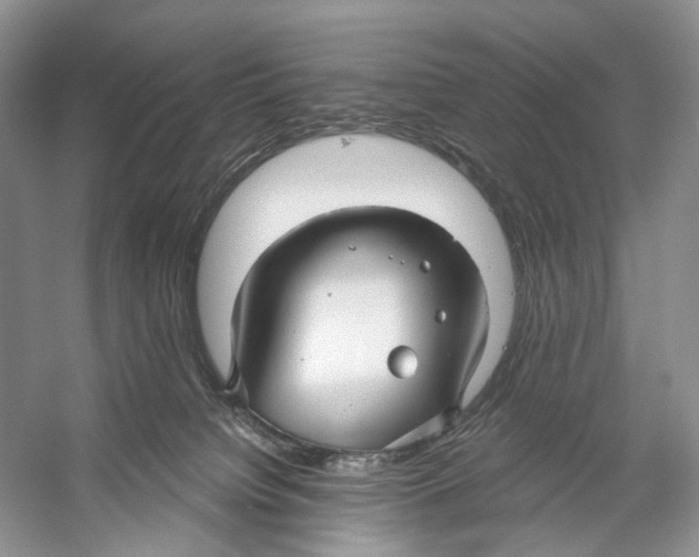 X0000053120084200508081303