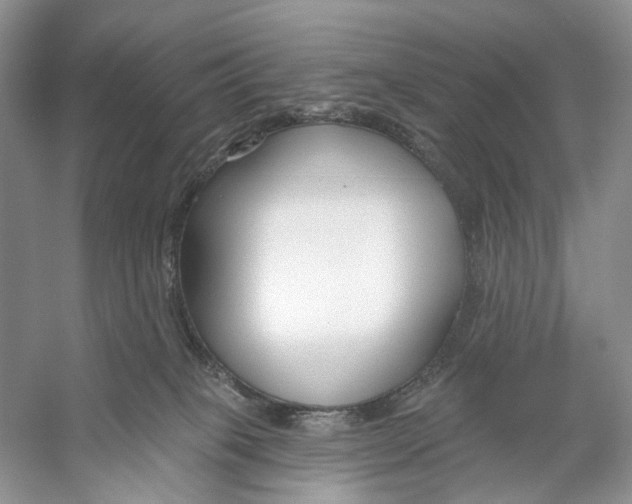 X0000053120085200508081303