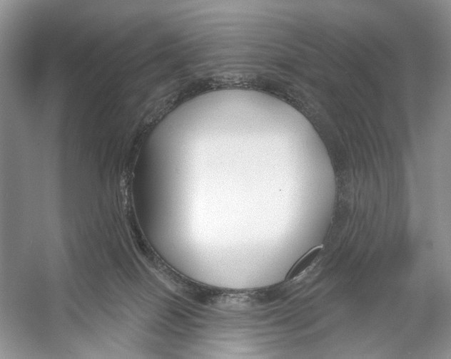 X0000053120086200508081303