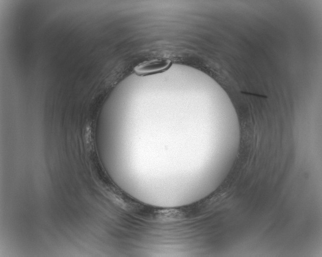 X0000053120087200508081303