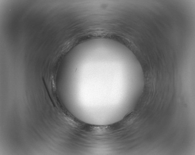 X0000053120089200508081303