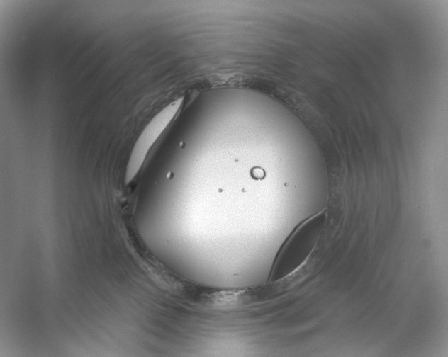 X0000053120090200508081303