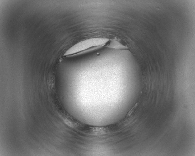 X0000053120091200508081303