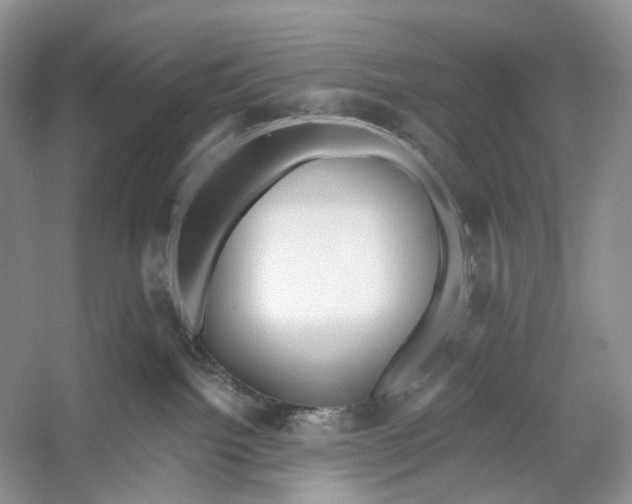 X0000053120092200508081303