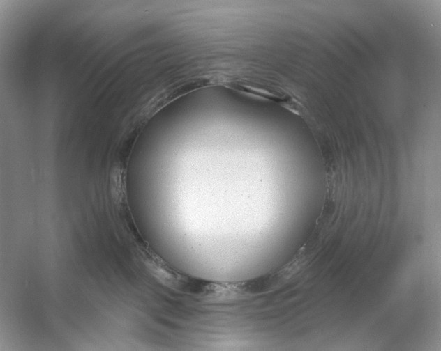 X0000053120093200508081303