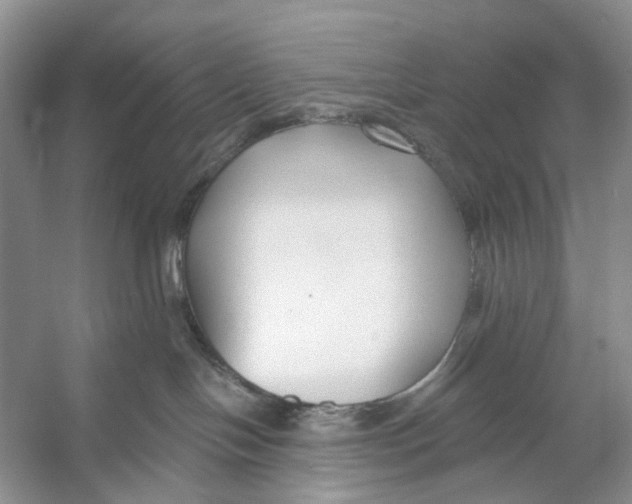 X0000053120094200508081303