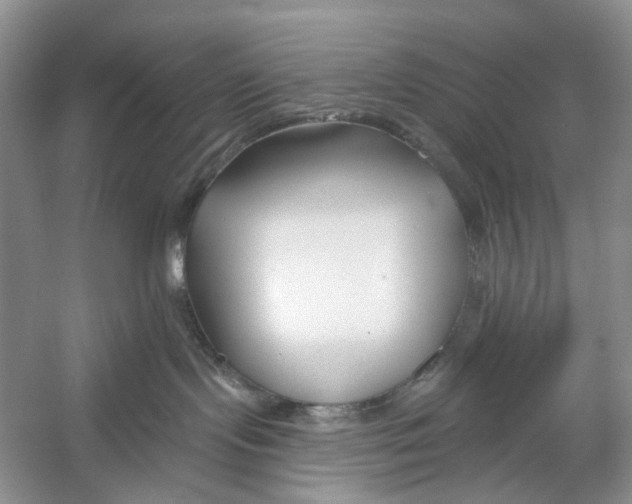 X0000053120095200508081303