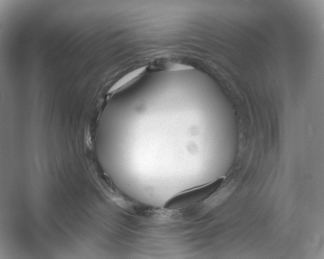 X0000053120096200508081303