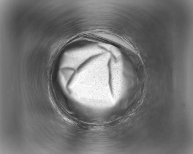 X0000053120097200508081302