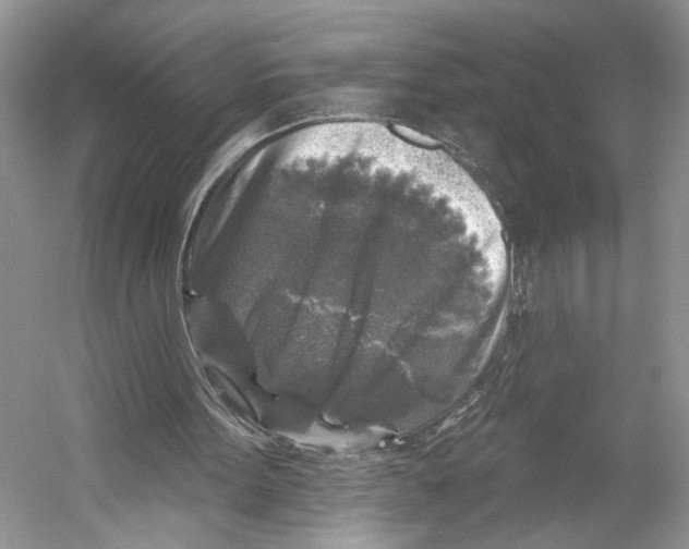 X0000053120099200508081302