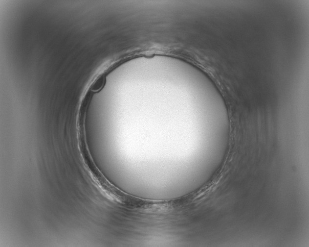 X0000053120102200508081302