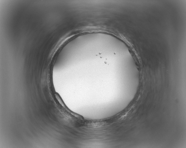 X0000053120103200508081302