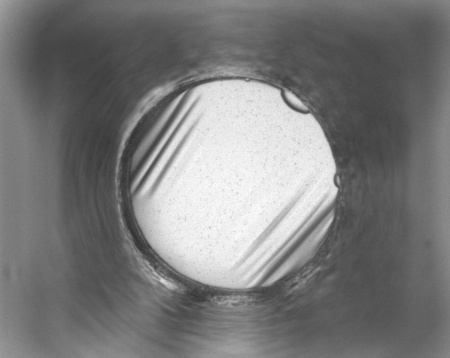 X0000053120104200508081302