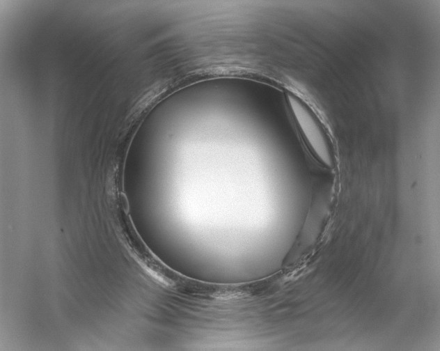 X0000053120105200508081302