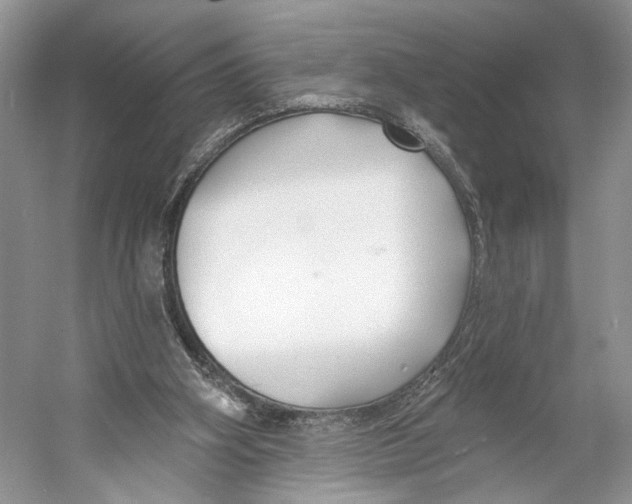 X0000053120106200508081302