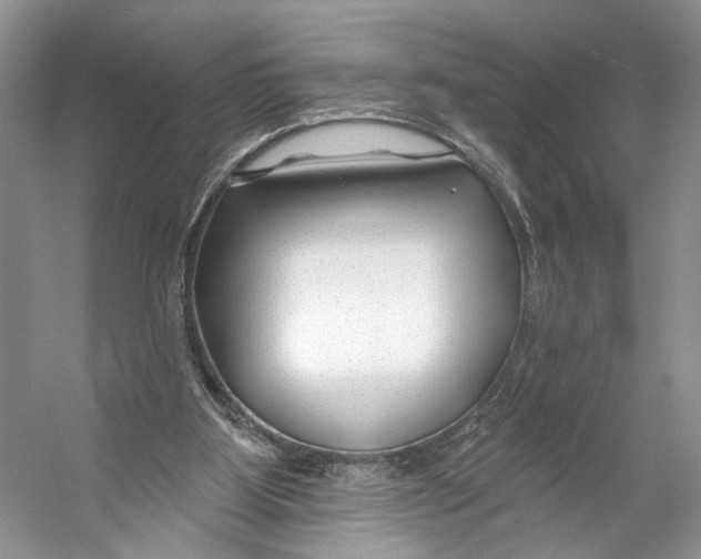 X0000053120107200508081302