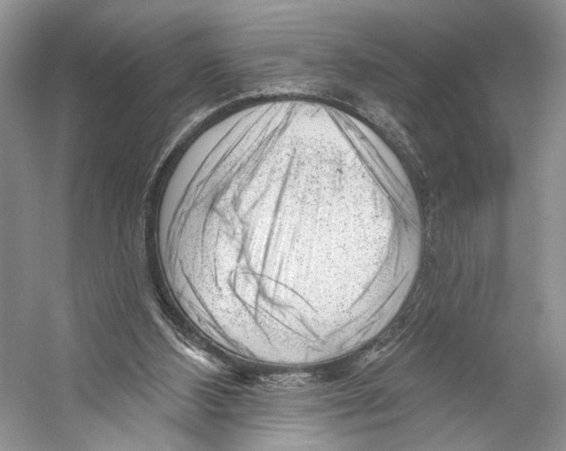 X0000053120108200508081302