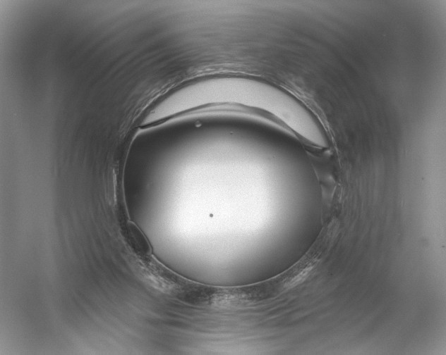 X0000053120109200508081302