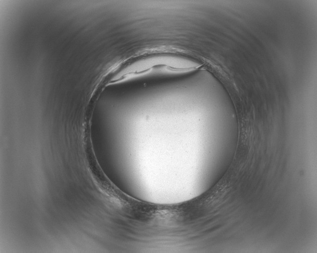 X0000053120111200508081302