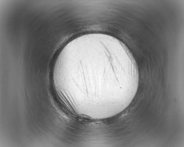 X0000053120112200508081302