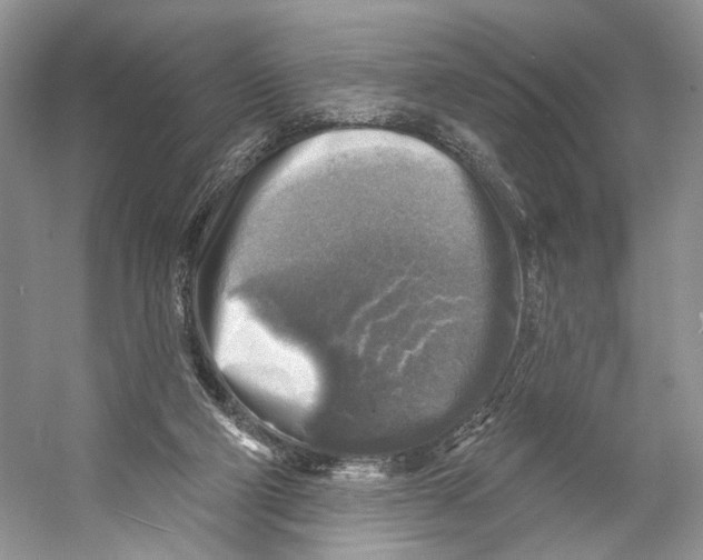 X0000053120114200508081302