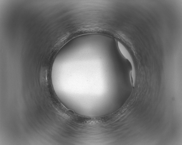 X0000053120115200508081302