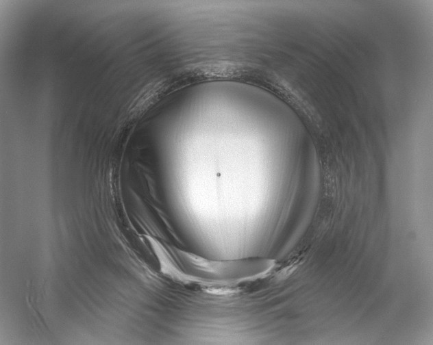 X0000053120117200508081302