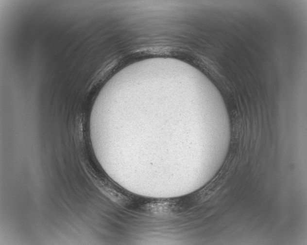 X0000053120120200508081302