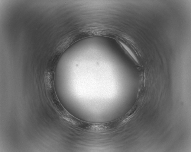 X0000053120121200508081302