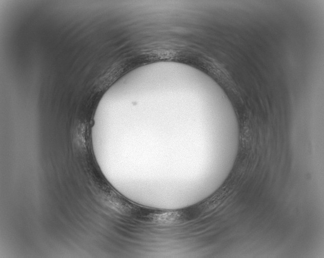 X0000053120122200508081302