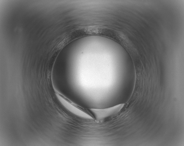 X0000053120125200508081302