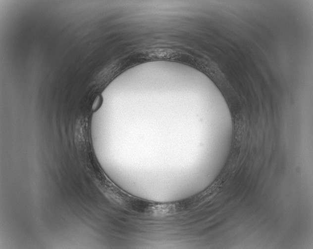 X0000053120126200508081302