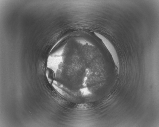 X0000053120127200508081302