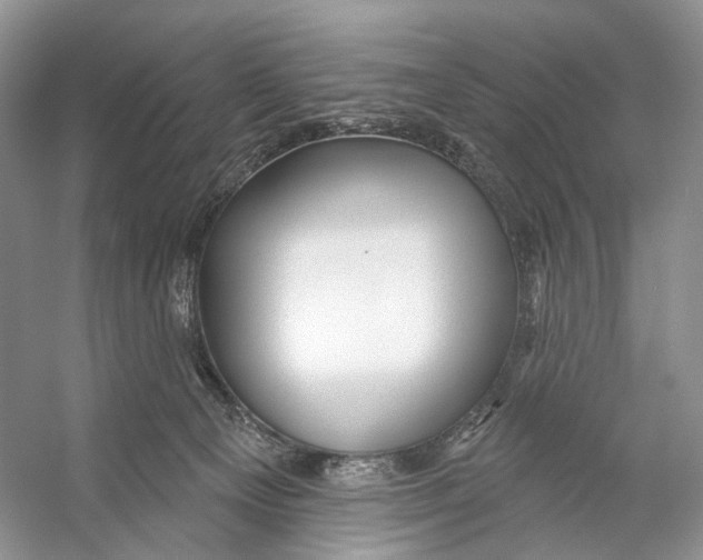 X0000053120129200508081302