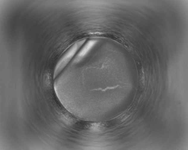 X0000053120130200508081302