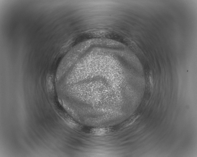 X0000053120131200508081302