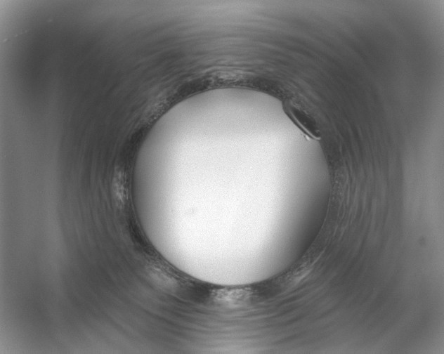 X0000053120135200508081301