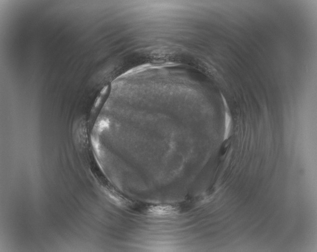 X0000053120137200508081301