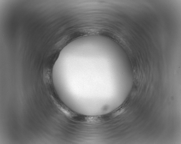 X0000053120141200508081301