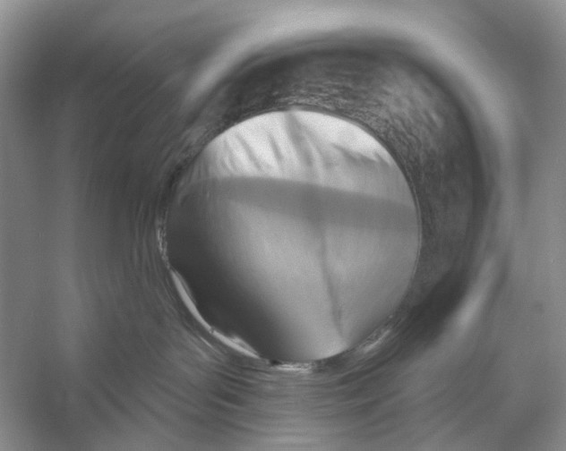 X0000053120143200508081301