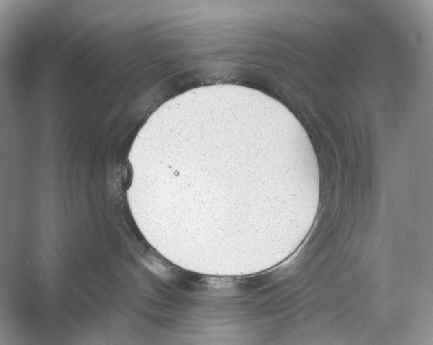 X0000053120144200508081301