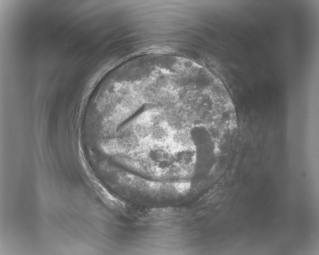 X0000053120145200508081300